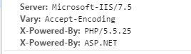 移除IIS7的返回头Server:Microsoft-IIS/7.5和其它版本信息